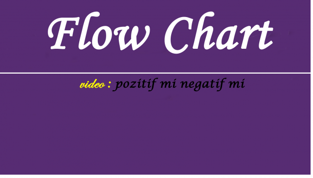 FlowChart Pozifit mi Negatif mi Videosu